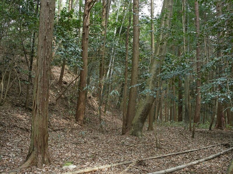 File:Ogawanishinokoka1.jpg