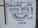 SuwaMasugatajou (4).JPG