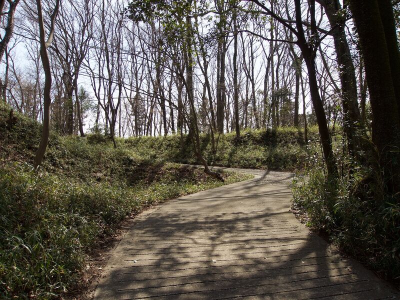 File:Takiyama23.jpg