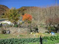 OgataYashimashiYashiki (1).JPG