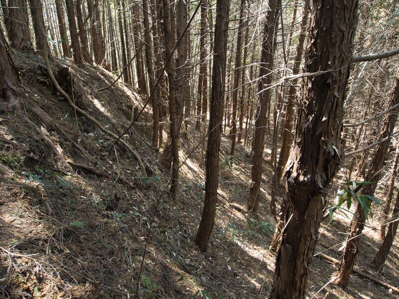 File:Shimoyamakita8.jpg