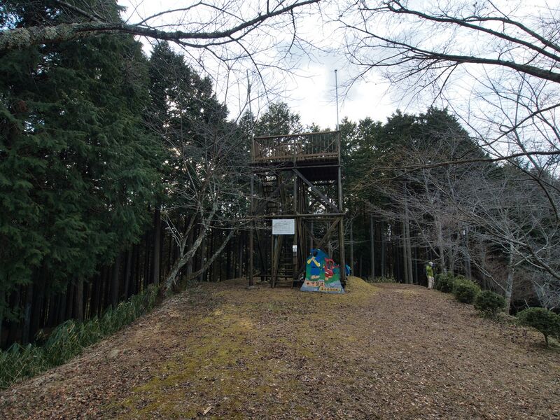 File:Tonoyamakoka6.jpg