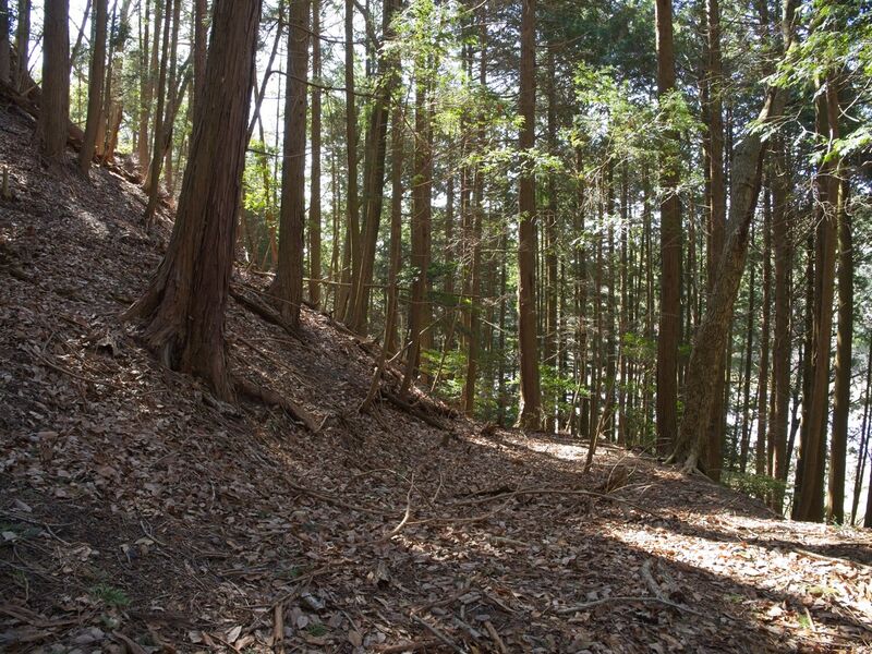 File:Tsuchiyamakoka16.jpg