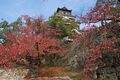 Thumbnail for version as of 13:24, 24 June 2017