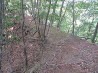 AzumiOhnodajou (4).jpg