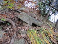 EchigoKatsuyamajou (16).JPG