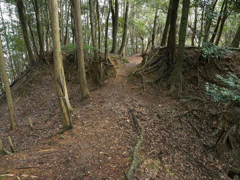 File:Goryu10.jpg