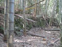 Hakoyanagijou (4).JPG