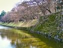 Hikone75.jpg