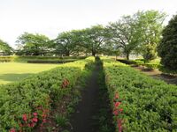 KitaaranamiToride (1).JPG