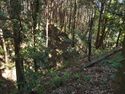 Kokashingushi31.jpg