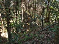 Kokashingushi31.jpg