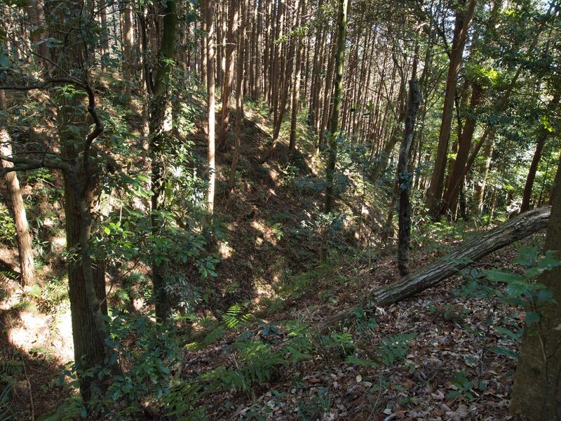 File:Kokashingushi31.jpg