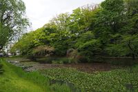 Kubota5.jpg