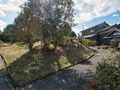 Thumbnail for version as of 13:55, 21 August 2022