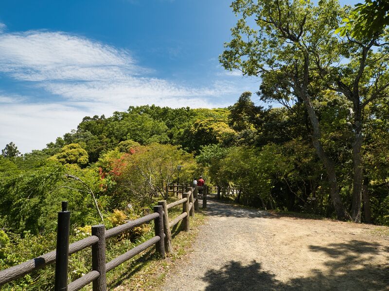 File:Kururi20.jpg