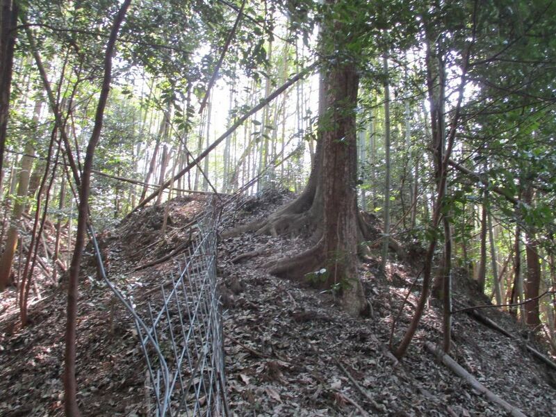 File:MikawaIwakuraYakata (4).jpg