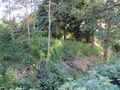 Thumbnail for version as of 14:15, 6 August 2022
