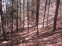Shiodajou (59).JPG