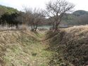 Uenotairajou (13).JPG