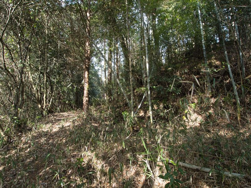 File:Wadashi3koka4.jpg