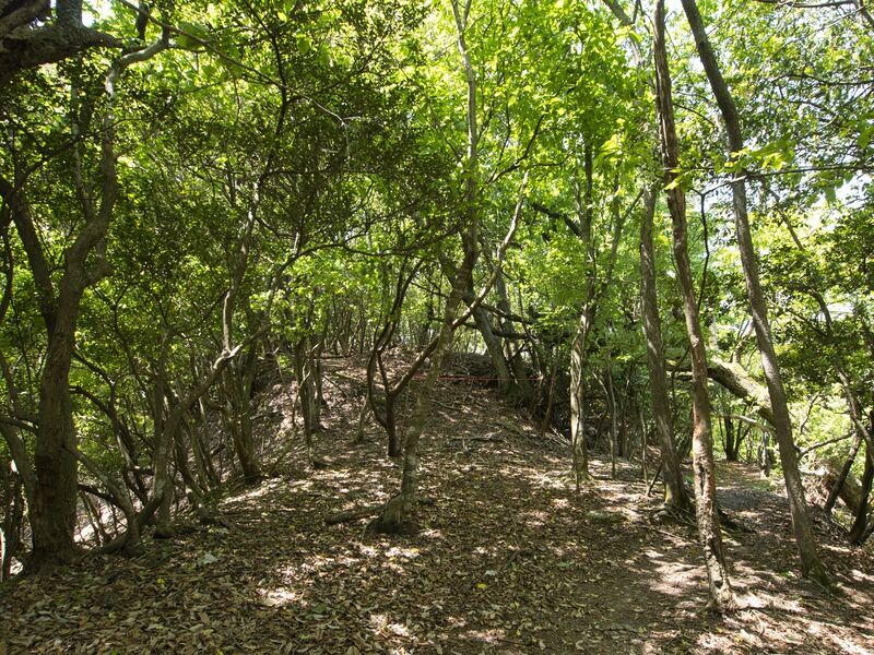 File:Yagitanba29.jpg