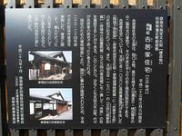 Yoshiihikone9.jpg