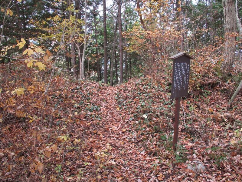 File:AdzumiIimorijou (16).jpg