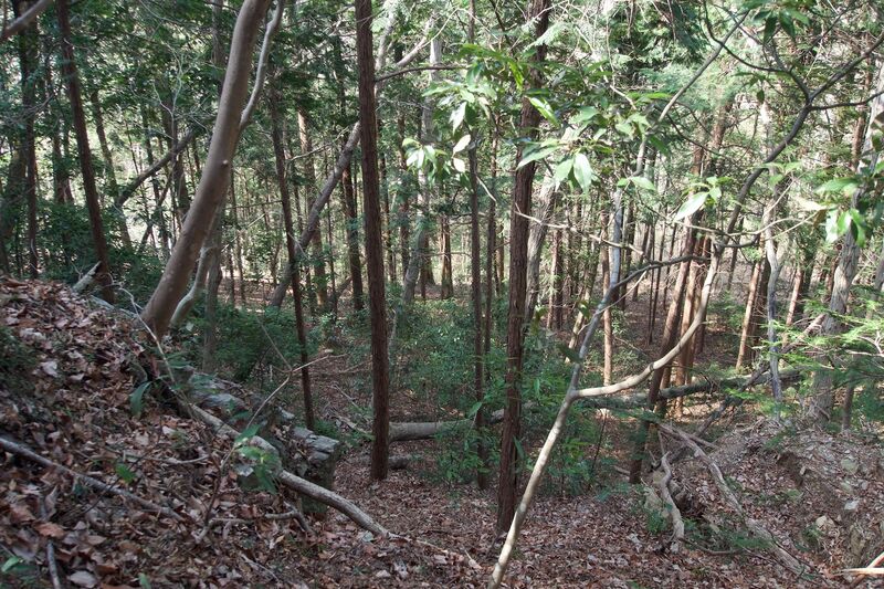 File:Kanaoyogaisan17.jpg