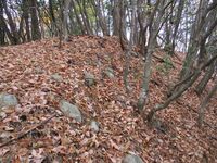 Nyuunomijou (5).JPG