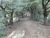 Shimizuyamajô (39).JPG