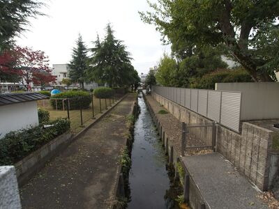 Sotoborihikone4.jpg