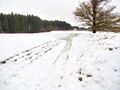 Thumbnail for version as of 10:55, 24 January 2021