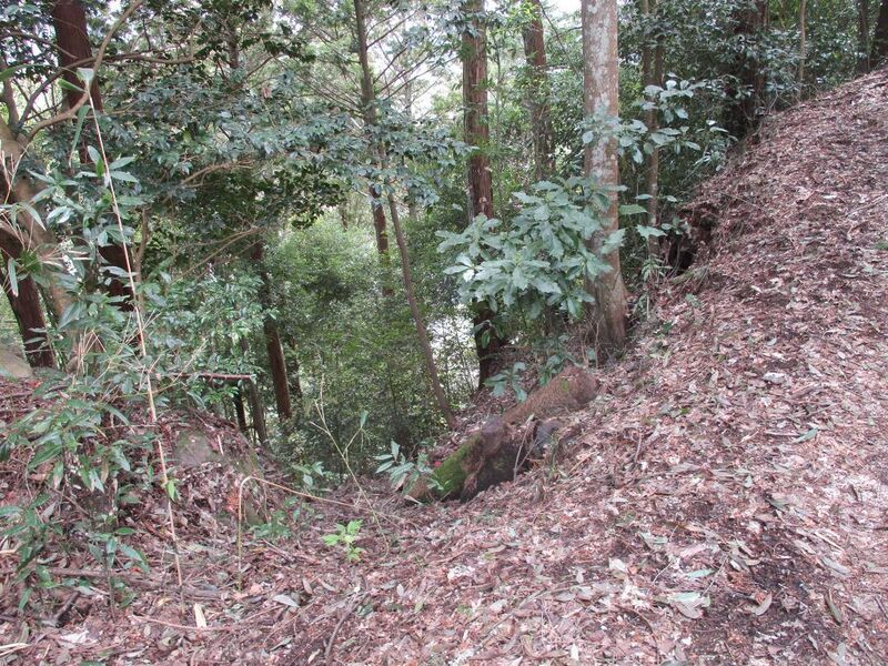 File:AsukeIimorijou (5).jpg