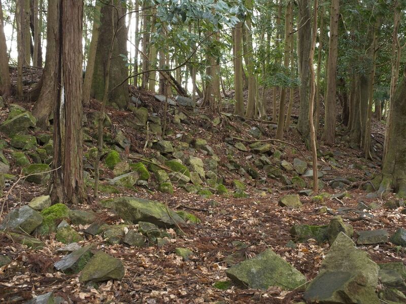 File:Goryu30.jpg