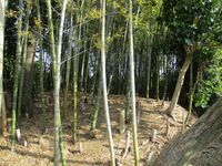 HekikaiNodajou (1).jpg