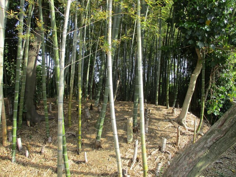 File:HekikaiNodajou (1).jpg