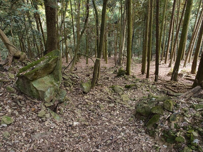 File:Kohyama32.jpg