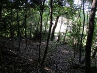 MikawaNishiachiwajou (3).JPG