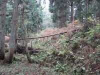 NechiKuriyamajou (1).JPG
