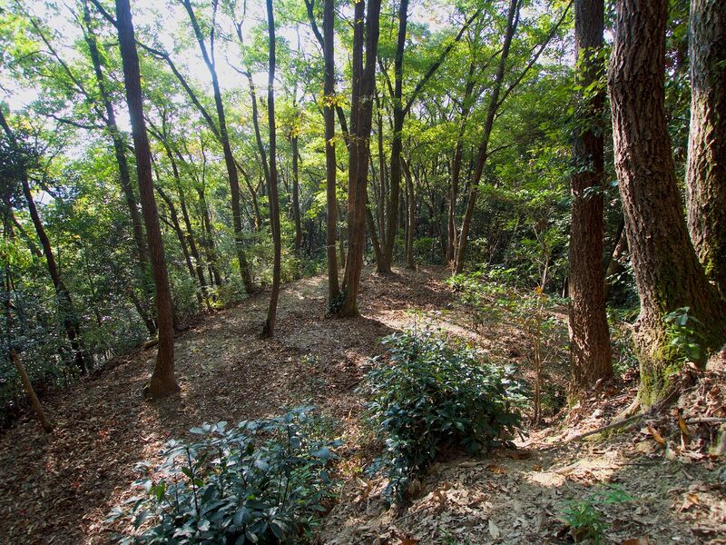File:Niitakayama5.jpg
