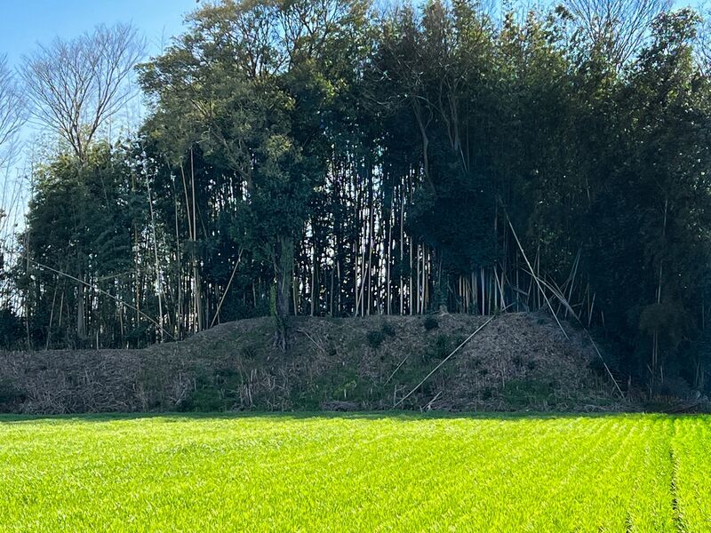 File:Yamanakakoka5.jpg