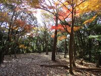 Akaiwajou006.jpg
