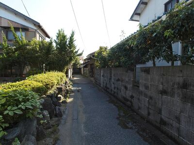 Dontsukihikone3.jpg