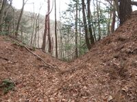 Iinawajou (5).JPG