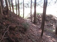 InaMinowajou (14).JPG