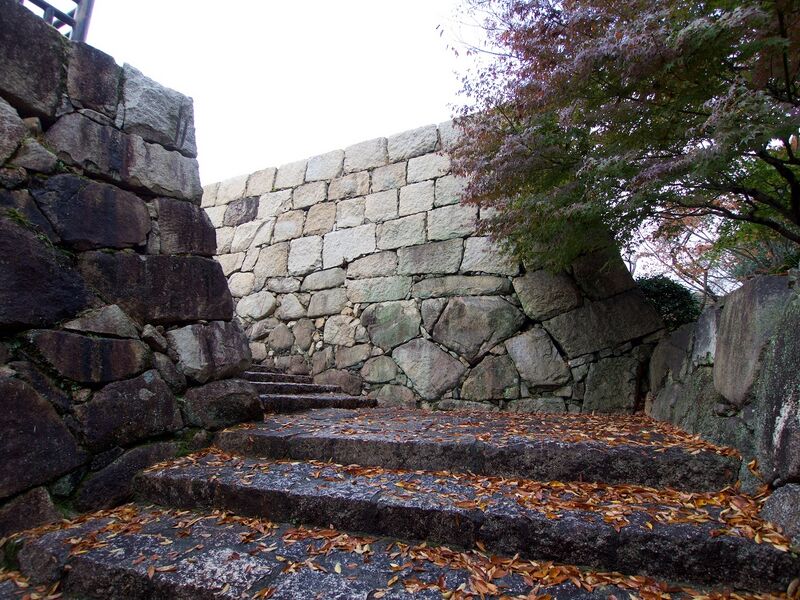 File:Kamei26.jpg