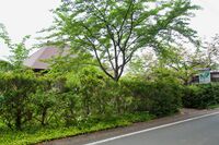 Kanegasaki ito1.jpg