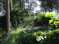 Thumbnail for version as of 20:22, 4 June 2023