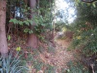 KoikeToride (6).JPG